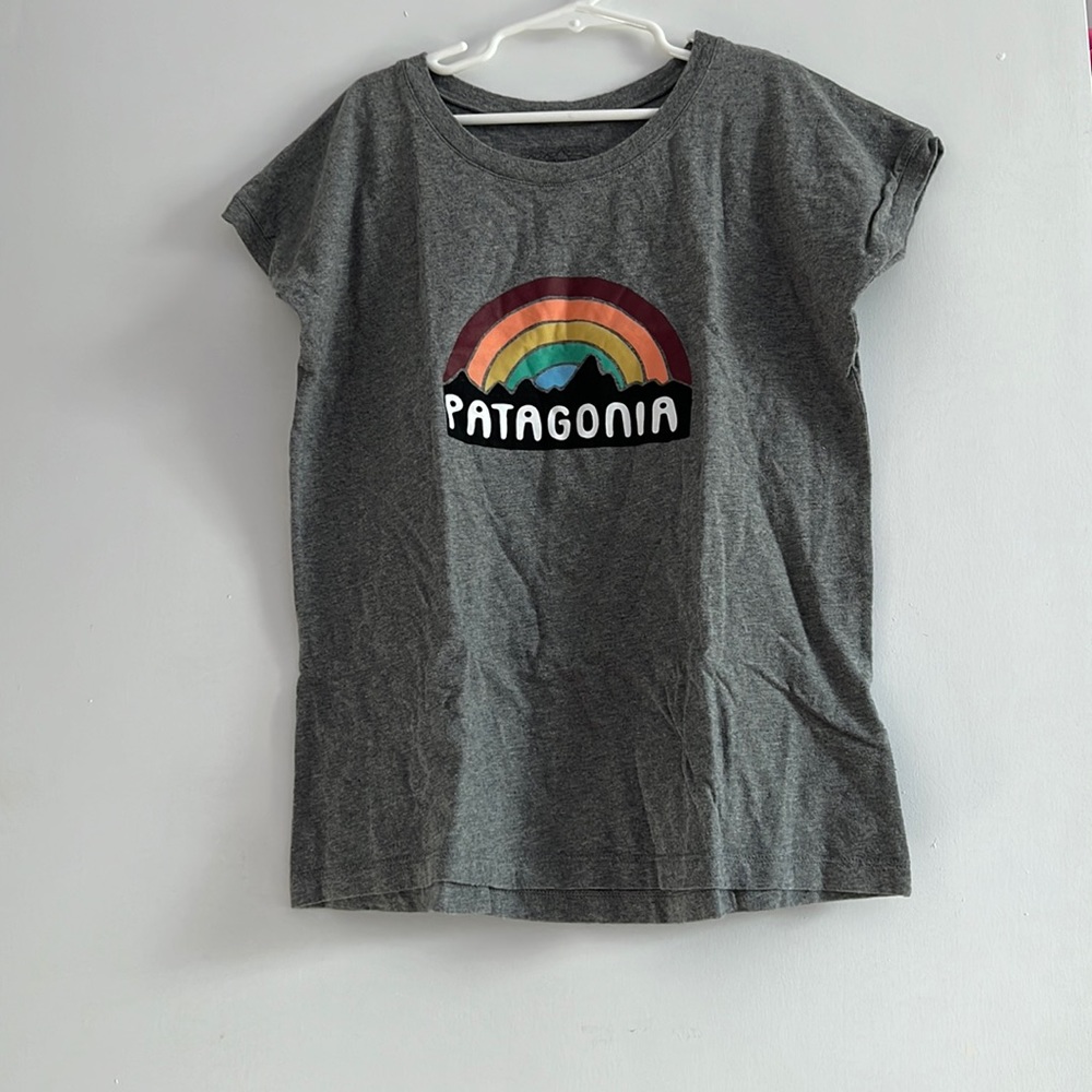 This is a gray Patagonia tee shirt